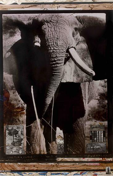 Peter Beard
Tsavo Tusker, on the Athi-Tiva River, 1965
Chromogenic print collaged with 8 gelatin silver prints, blood, applied paint, and extensive inscriptions in ink
Estimate: $150,000—190,000