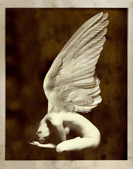 Untitled (Angel 1), 2015 
© Giovanni Gastel / Image Service srl