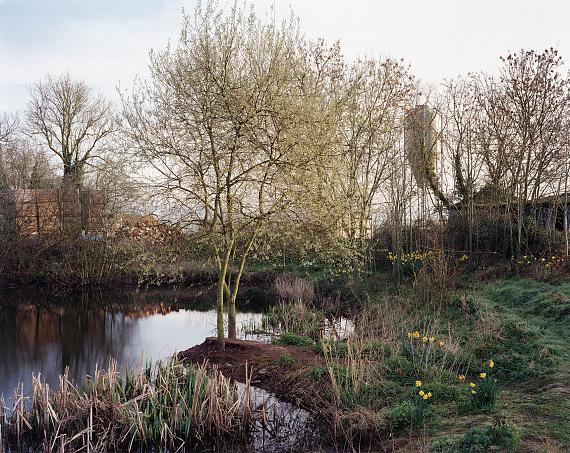 The Pond at Upton Pyne
