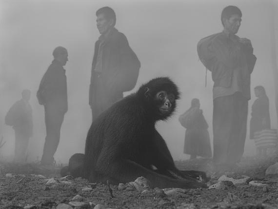 Pimienta and People in Fog, Bolivia, 2022
© Nick Brandt
