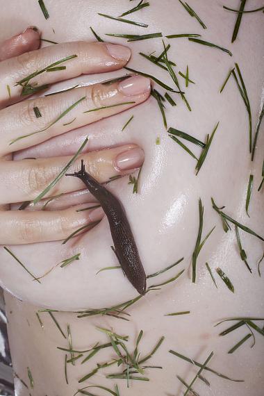Maisie Cousins: Slug, 2015
© Maisie Cousins, Courtesy TJ Boulting