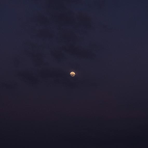 Ann-Christine Woehrl: Moon In Mauve, Grez FRANCE, 2022