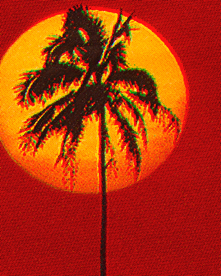 Roger Eberhard, « Palm Tree », from the series « Escapism », 2022 
© Roger Eberhard