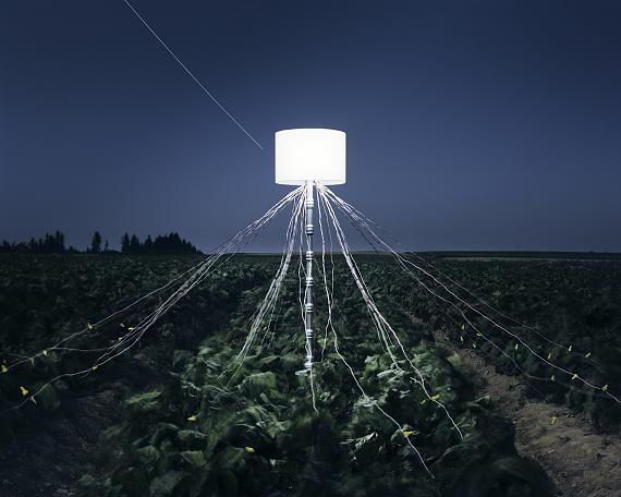 Caleb Charland
Beet Field, from the series: Back to Light
96.5 x 116.8 cm
Archival Digital Print
© Caleb Charland, Courtesy of East Wing/Doha