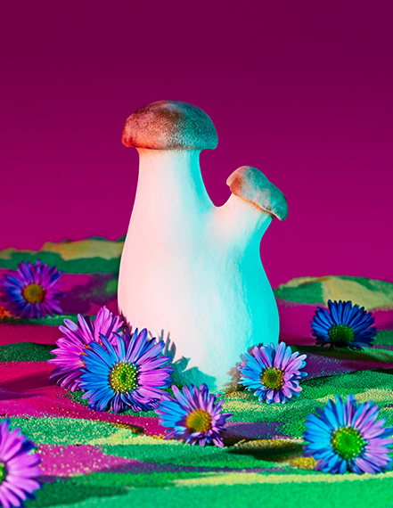 Phyllis Ma, Mushrooms & Friends
© Phyllis Ma · Courtesy of the artist