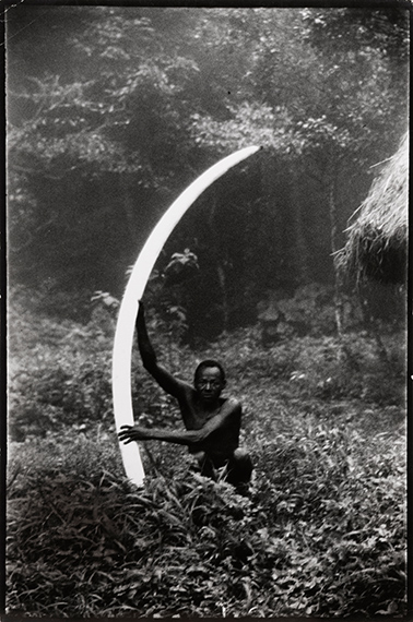 188.
Peter Beard
The End of the Game, 1965.
Archive from the collection of Nicolas Ducrot (former artistic director of Viking Press). 