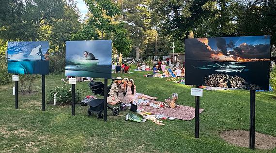 Besucherrekord beim Festival La Gacilly-Baden Photo 2024