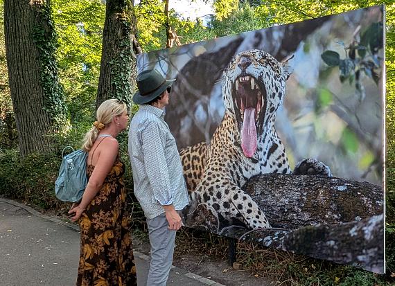 Besucherrekord beim Festival La Gacilly-Baden Photo 2024