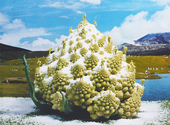 Yumiko Utsu
Snow on Romanesco, 2008
C-type print
Paper size: 27.9 x 35.6 cm
Accompanied by a signed, titled, dated and editioned label from the artist
Edition of 10