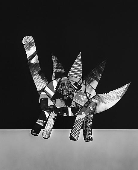 Sara-Lena Maierhofer
o.T. (Mannesmann), 2023
photogram on baryta paper
100 x 70 cm
Unikat 