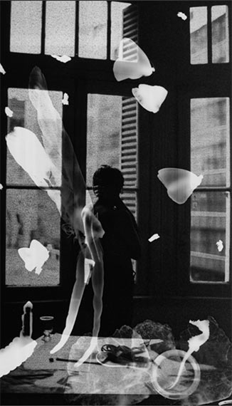 Julieta Tarraubella
Elementales_Clara 2021
ELEMENTALES
24 x 30,5 cm
Photography | Photogram on ADOX MCP 310 - Glossy paper