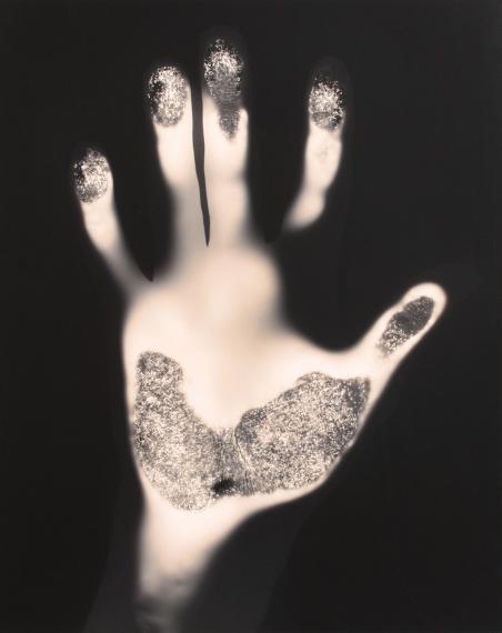 Lutz, 2001© Gary Schneider