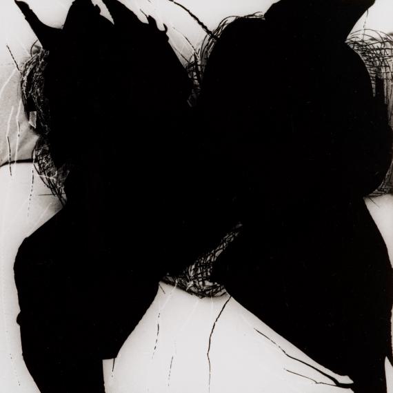 Annegret Soltau
Zerbrochenes Lachen, 9, 1978
photo etching, printed by the artist
11 pieces, each 13 x 13 cm
unique
