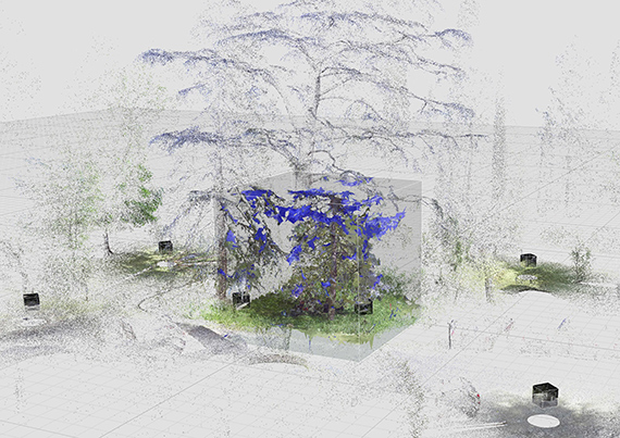 Garden of Entanglement Garden of Entanglement