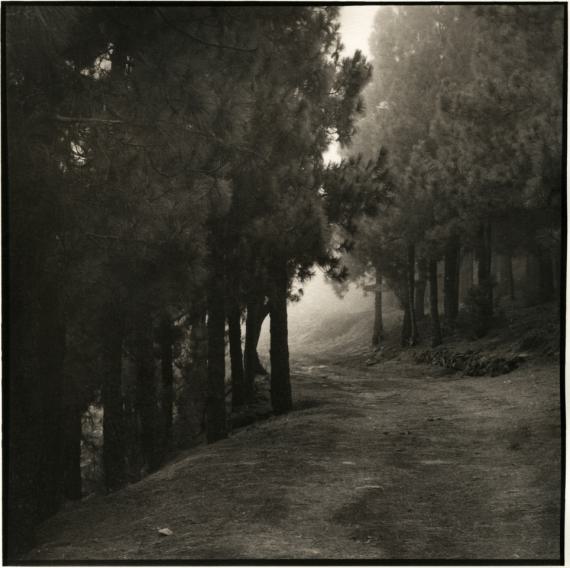 'In the mist', Islas Canarias 2005 ©️ Ayako Takaishi / Courtesy Johanna Breede