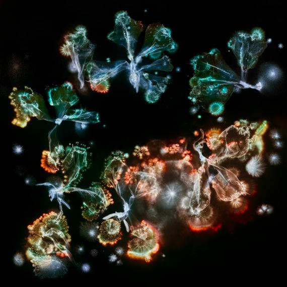 Microverse Microverse