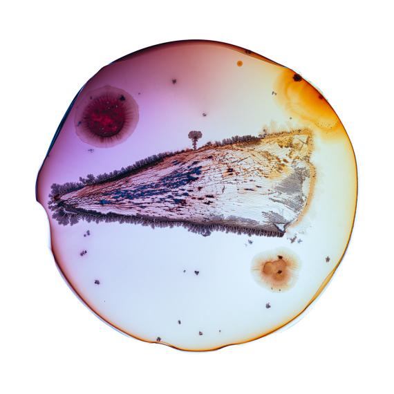 Microverse Microverse