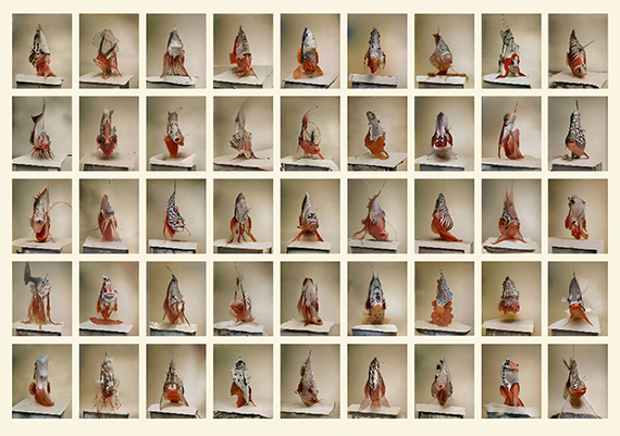 ENCYCLOPAEDIA ENCYCLOPAEDIA