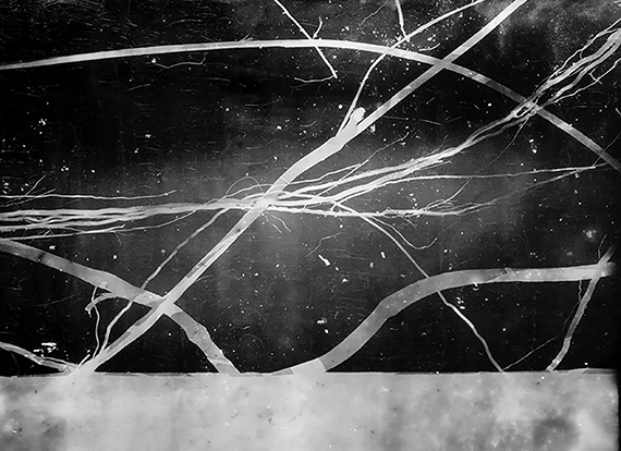 Roberto Huarcaya Amazogramas
Amazograma #1 (Detail), 2014
© Roberto Huarcaya and Rolf Art, Buenos Aires