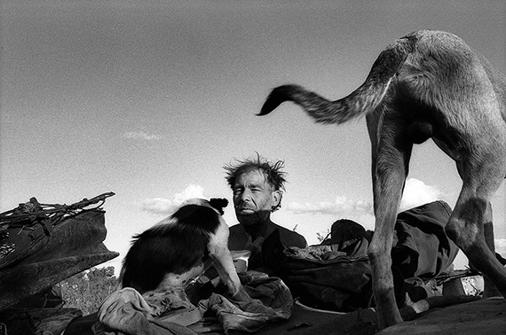 © Daniel Muchiut