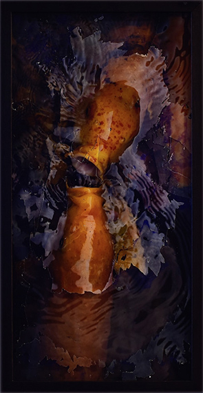 Trevor Yeung
Fish Mouth (Chatting)
2015
Archival inkjet print, C-print, glass
62.5 x 32.5 x 4.5 cmCourtesy BLINDSPOT Gallery HK