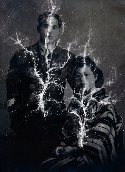 Family Tree, photo by Hikari Okawara, © Tawada Yuki, 2025