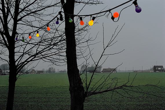 A World in Colour 