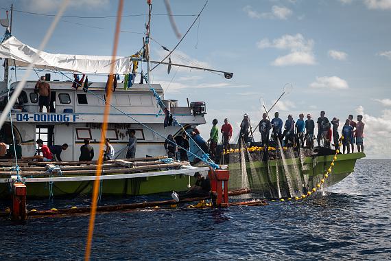 Commercial fishermen are seen out at sea, on Tuesday,May 27, 2025, about 50 nautical miles off the coast of Rizal,Palawan, the Philippines. Many filipino commercial andsmall-scale fishers are being chased or hassled by ChineseCoast Guard, Navy, and militia ships while out at sea.Previously, attacks or harassment in this area did not exist,but was well-documented in other areas. Since August2024, incidences of harassment have started and increasedsince. Many Filipino fishermen believe that the Chinese arenow moving to build outposts in the nearby Sabina Shoal todominate both trade routes and the fishing industry. &copy; Nicole Tung for Fondation Carmignac