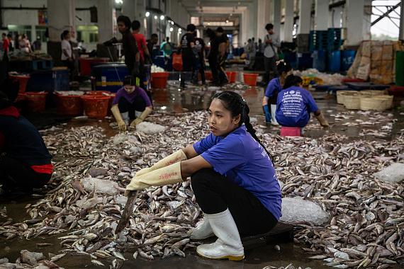 A Burmese dock worker sorted different fish species after a catch from a Thai vessel was unloaded at a landing site in Ranong, Thailand, on Thursday, January 23, 2025.  &copy; Nicole Tung for Fondation Carmignac