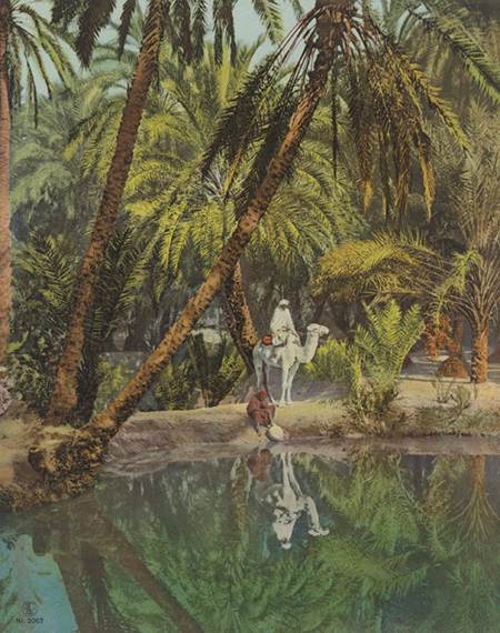 Lehnert & Landrock - Revisiting A Colonial Archive Lehnert & Landrock - Revisiting A Colonial Archive