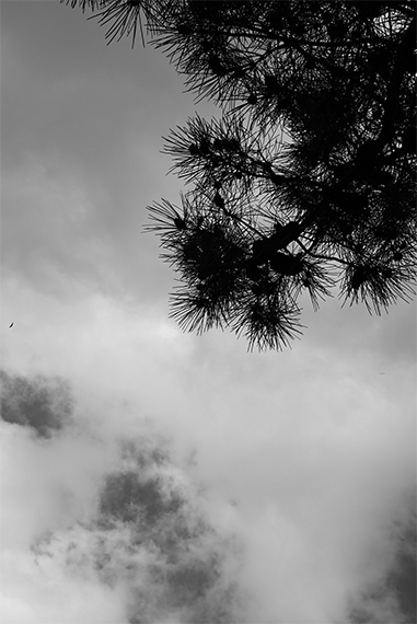 Return from the Mountains