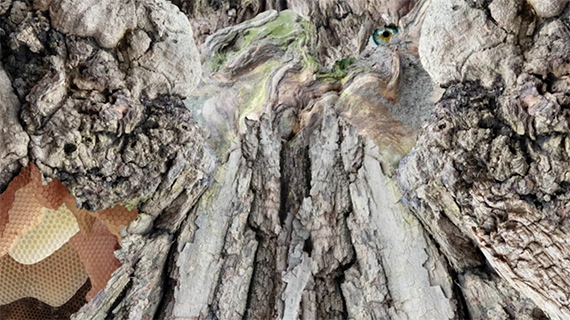 The Great Tree Piece