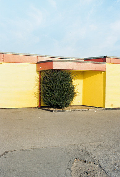 Jitka Hanzlová: Untitled, 1993, aus der Serie: Rokytník, 1990 – 1994
