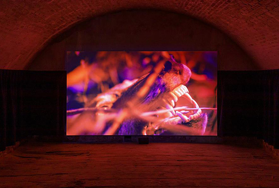 The Venice Biennale - The Milk of Dreams