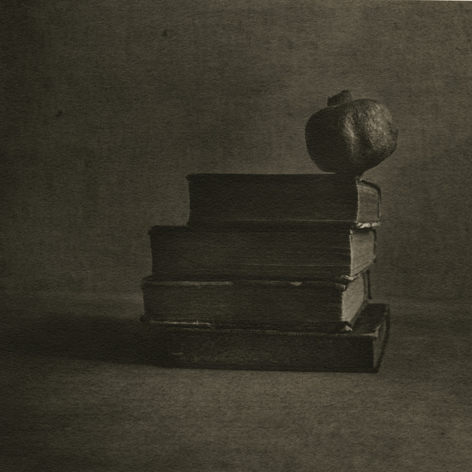 'Pomegranate‘ 2016 ©️ Ayako Takaishi / Courtesy Johanna Breede