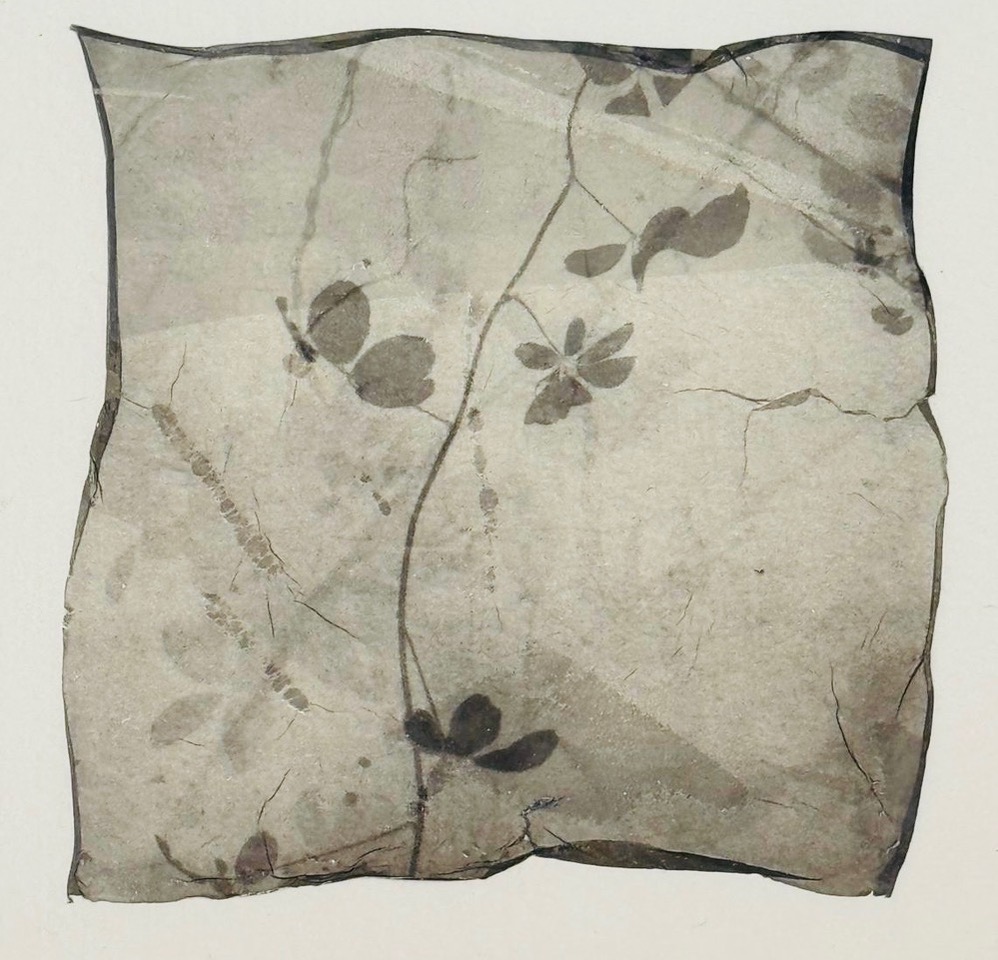 'Polaroid Lift', 2025 ©️ Ayako Takaishi / Courtesy Johanna Breede
