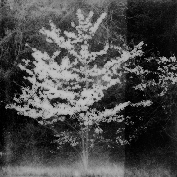 Photo Days 2025