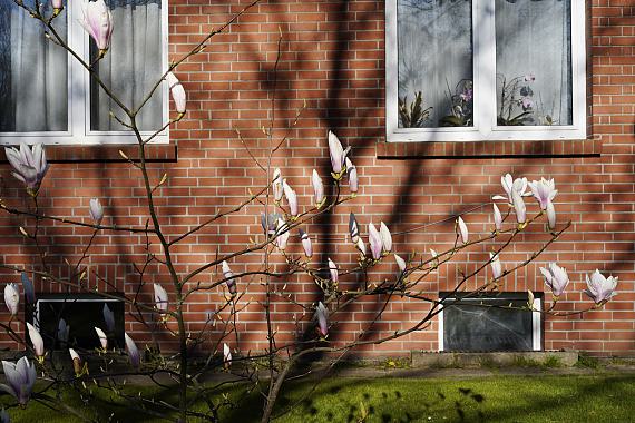 Verblieben. Erinnert. Gesehen. Verstummt. Eine Recherche.