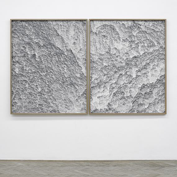 Tamas Dezső
Forest, 2018
Diptychon, 155 x 250 cm