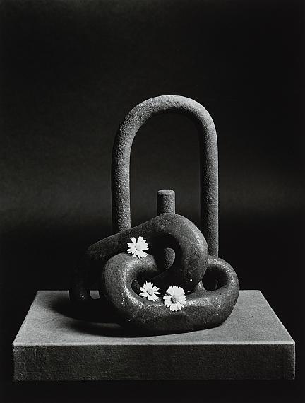 Michel Medinger
Three daisies, 2015
Collection CNA © Michel Medinger