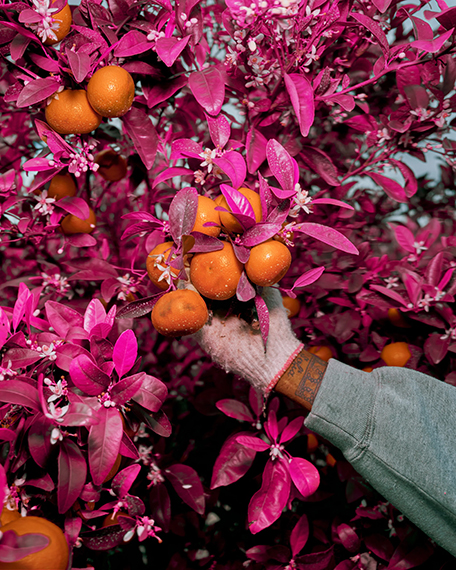 LagosPhoto Festival Biennale 2025