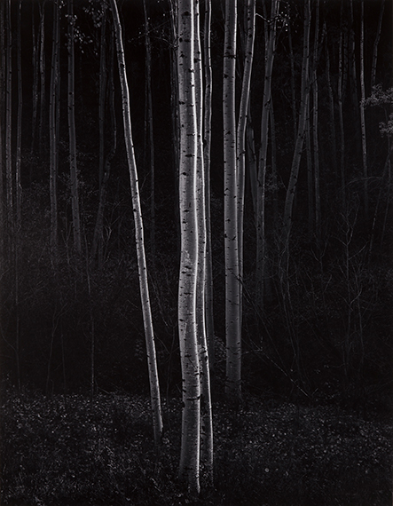 JEAN DIEUZAIDE – PHOTOGRAPHS – STUDIO & COLLECTION JEAN DIEUZAIDE – PHOTOGRAPHS – STUDIO & COLLECTION