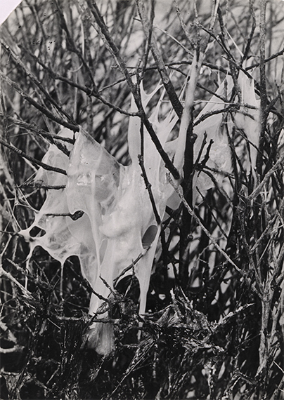 Von Hannover nach Los Angeles Von Hannover nach Los Angeles