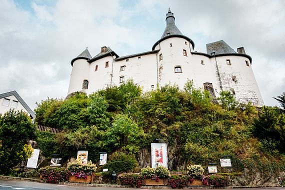 Living Room Safari Living Room Safari
