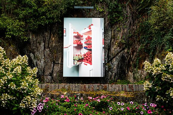 Living Room Safari Living Room Safari