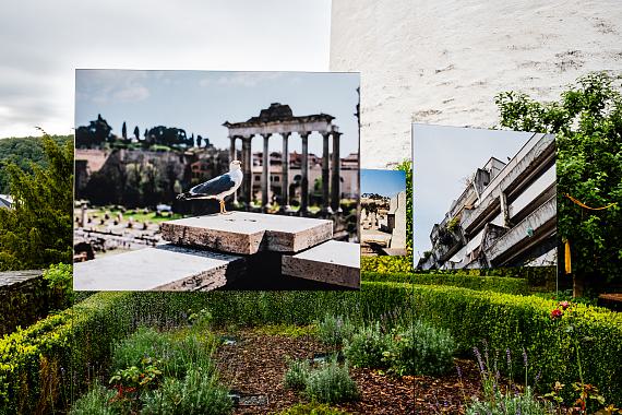 Birdwatcher Birdwatcher