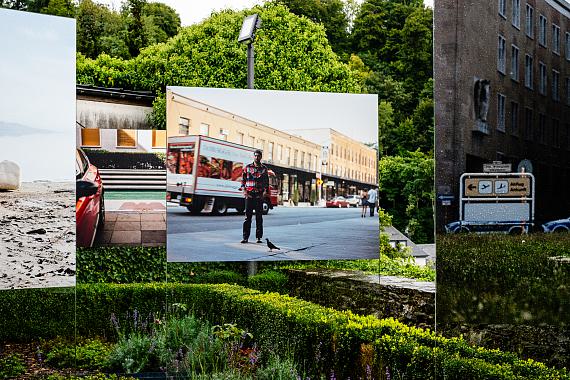 Birdwatcher Birdwatcher