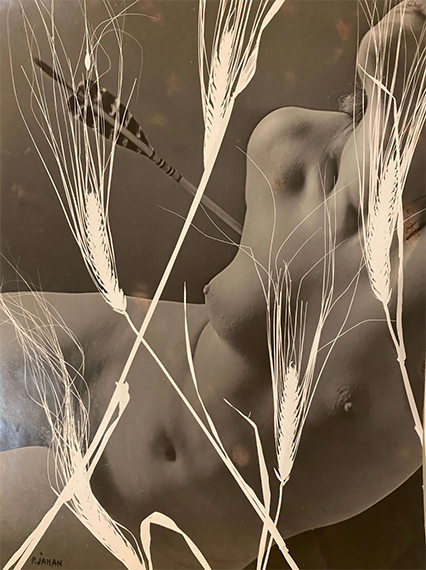 PIERRE JAHAN (1909 - 2003)
Photomontage nu aux épis de blé 
28 x 24 cm 
Solarisation / Épreuve d’artiste 1943 
Signé en bas à gauche
La Galerie Le Fell, Paris PIERRE JAHAN (1909 - 2003)
Photomontage nu aux épis de blé 
28 x 24 cm 
Solarisation / Épreuve d’artiste 1943 
Signé en bas à gauche
La Galerie Le Fell, Paris