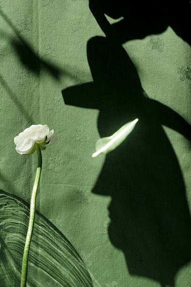 Sarah van Rij
Silent Season, 2020© Sarah van Rij