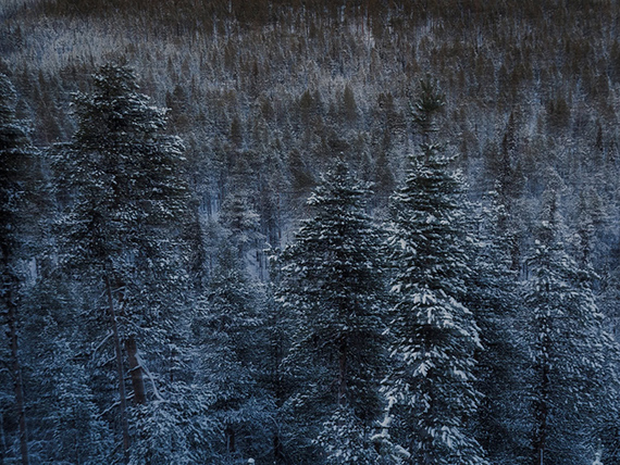 Nora Schwarz, from the series “Songs of
the Taiga”, 2025 © Nora Schwarz